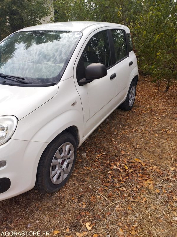 FIAT PANDA - Car: picture 3 FIAT PANDA - Car: picture 3