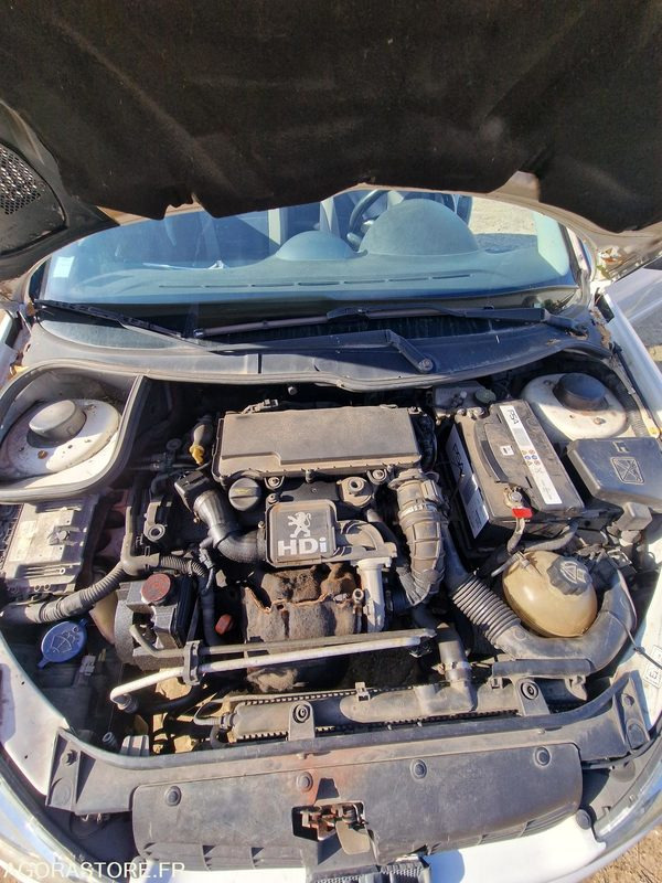 Car PEUGEOT 206 - LOT N°1: picture 20