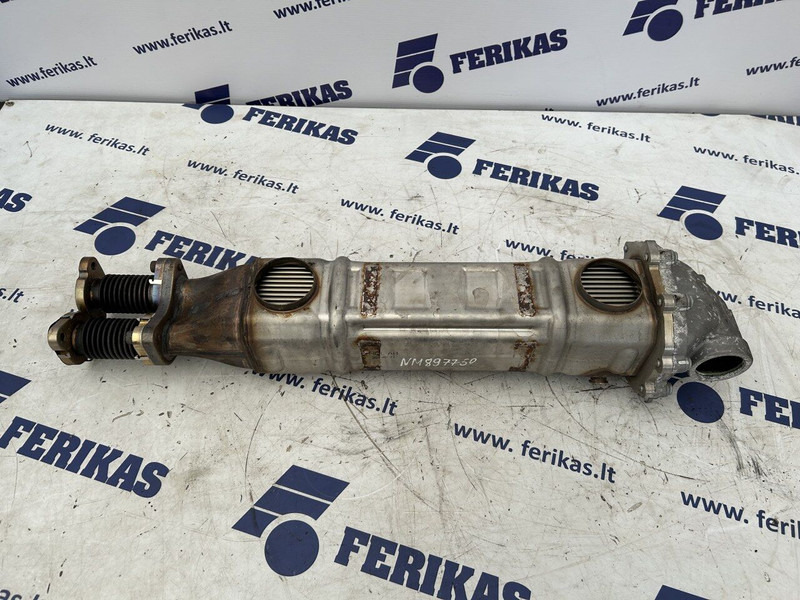 MAN TGX - Exhaust system for Truck: picture 1 MAN TGX - Exhaust system for Truck: picture 1