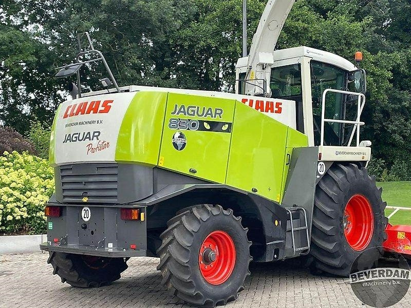 Claas Jaguar 830 492 - Agricultural machinery: picture 4 Claas Jaguar 830 492 - Agricultural machinery: picture 4