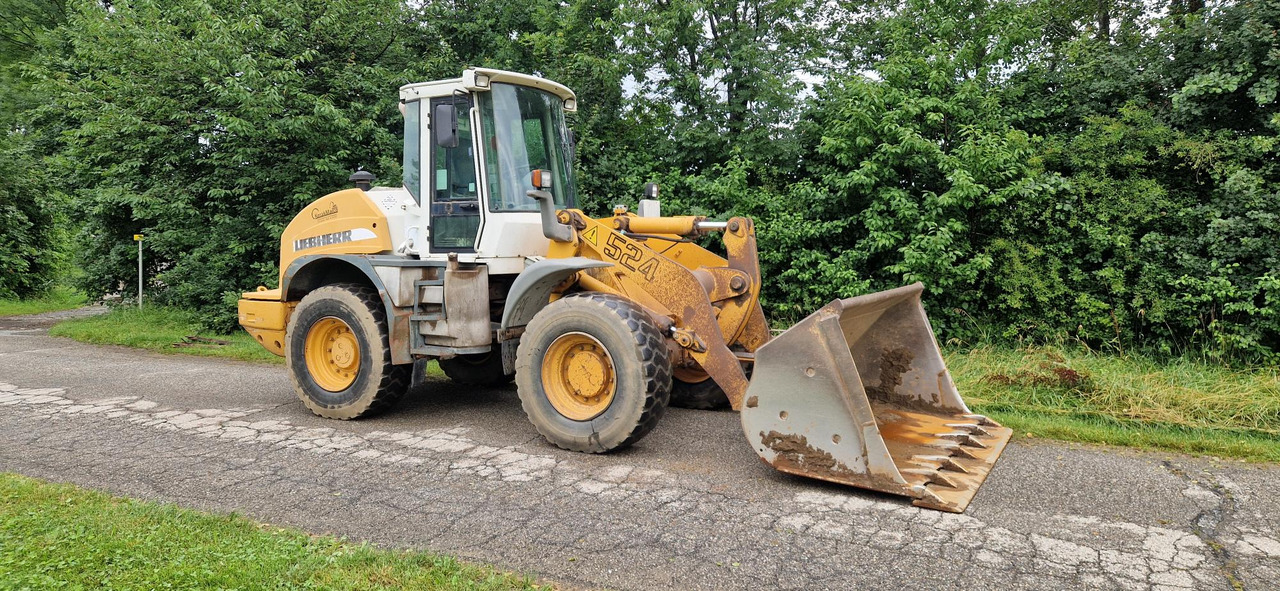 Tire for Wheel loader MICHELIN 17.5 R25: picture 6