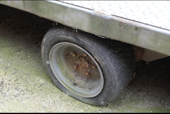 Dropside/ Flatbed trailer Remorque plateau triple essieu surbaissée Costo 3 x 35 (2002-VIN:YA9742139YC143150) (REF 010383-027): picture 14