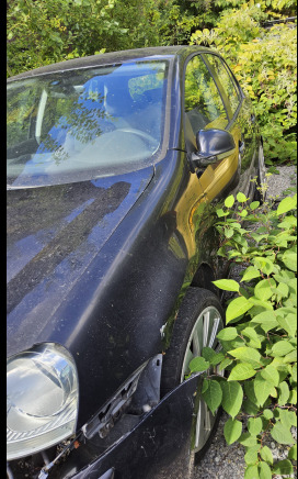 Golf gtd - Car: picture 4 Golf gtd - Car: picture 4