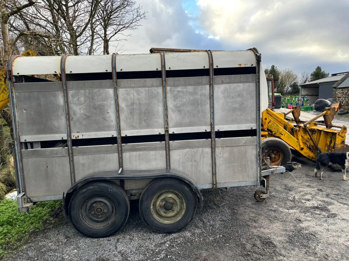 10X6 Ivor Williams - Livestock trailer: picture 2 10X6 Ivor Williams - Livestock trailer: picture 2