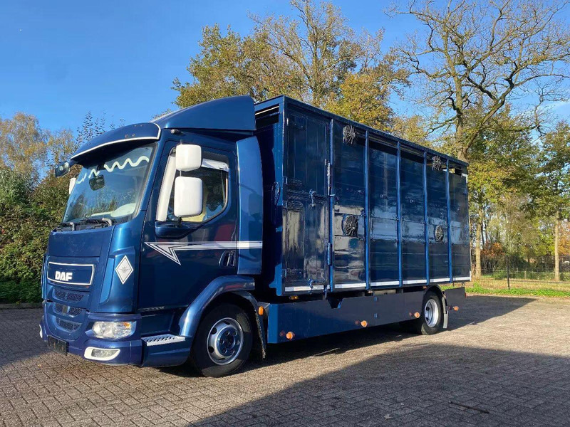 DAF LF 280 - Livestock truck: picture 1 DAF LF 280 - Livestock truck: picture 1