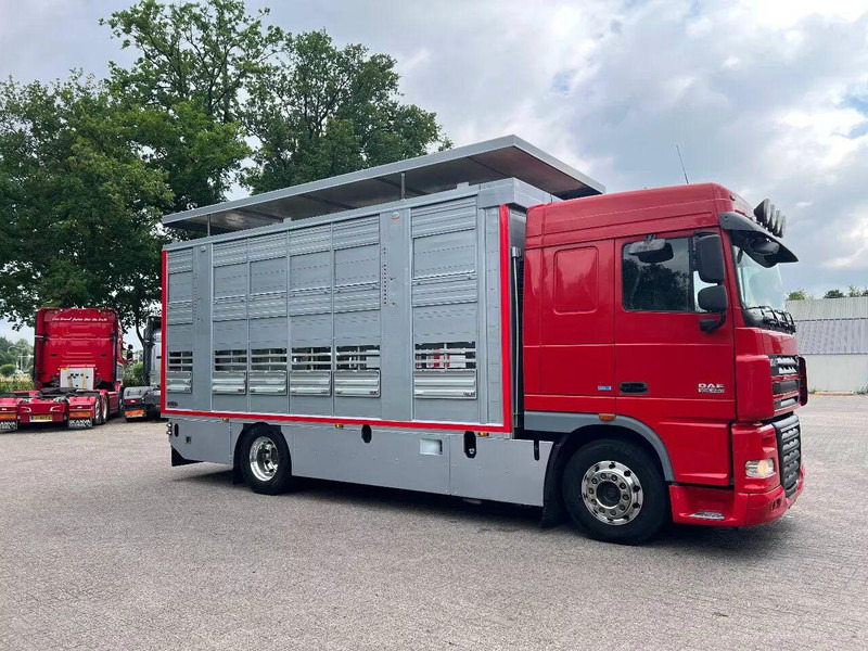 DAF XF 106.460 - Finkl Animal transporter - Livestock truck: picture 2 DAF XF 106.460 - Finkl Animal transporter - Livestock truck: picture 2