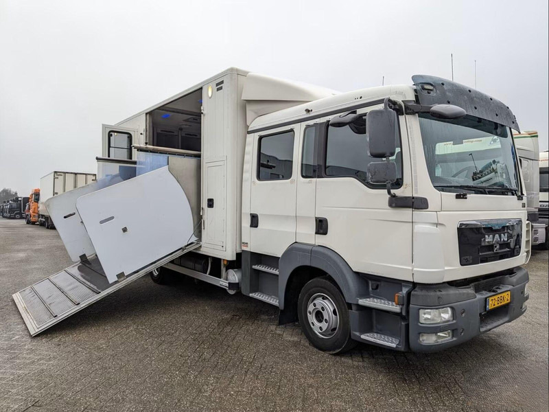 MAN TGL 12.180 - Doka Horse transporter - Horse truck: picture 2 MAN TGL 12.180 - Doka Horse transporter - Horse truck: picture 2