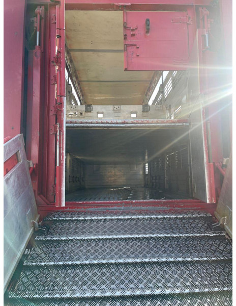 Livestock truck MAN TGX 26.400 6x2-2 LL 3 Stück Finkl Hubdach: picture 10