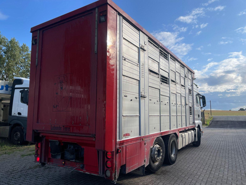 Livestock truck MAN TGX 26.400 6x2-2 LL 3 Stück Finkl Hubdach: picture 7