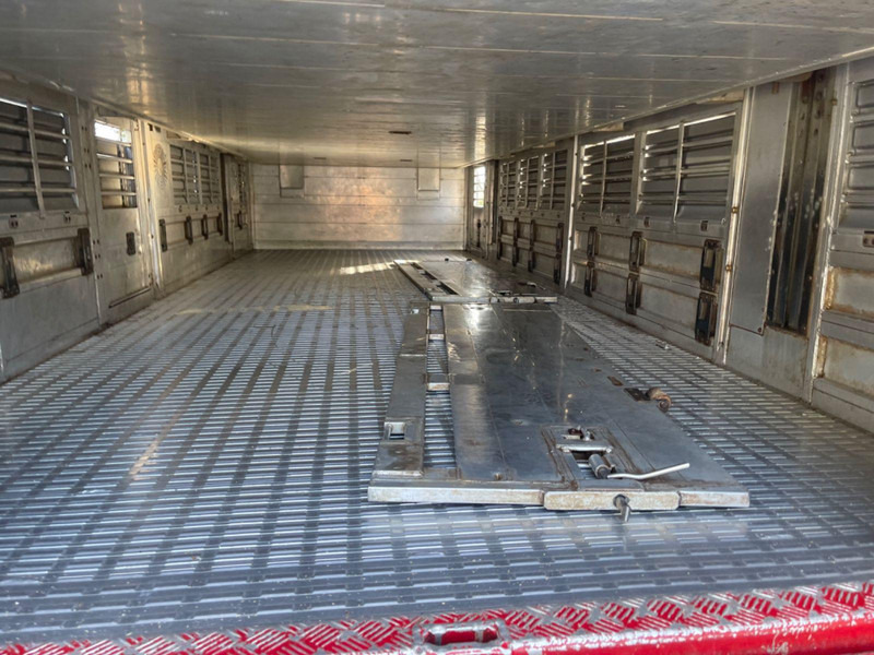 Livestock truck MAN TGX 26.400 6x2-2 LL 3 Stück Finkl Hubdach: picture 11