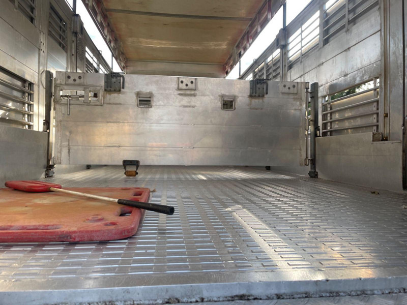 Livestock truck MAN TGX 26.400 6x2-2 LL 3 Stück Finkl Hubdach: picture 13