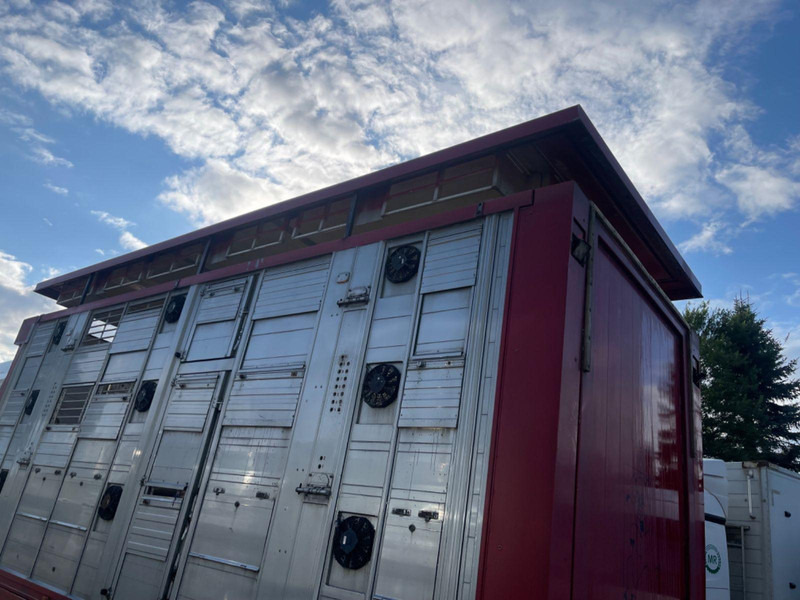 Livestock truck MAN TGX 26.400 6x2-2 LL 3 Stück Finkl Hubdach: picture 9