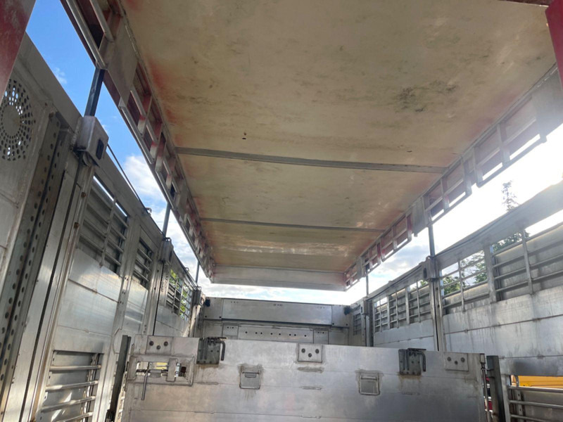 Livestock truck MAN TGX 26.400 6x2-2 LL 3 Stück Finkl Hubdach: picture 14