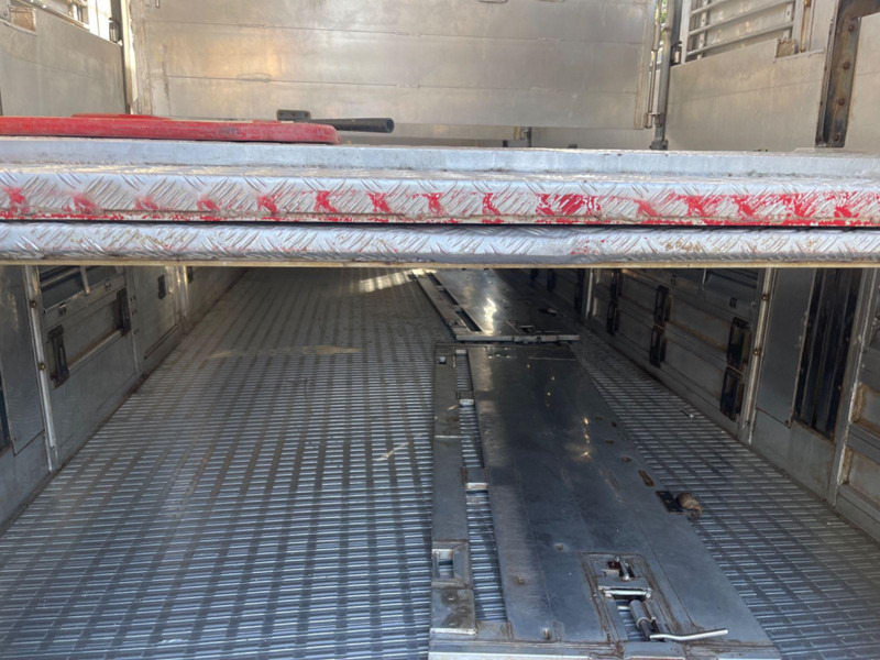 Livestock truck MAN TGX 26.400 6x2-2 LL 3 Stück Finkl Hubdach: picture 12