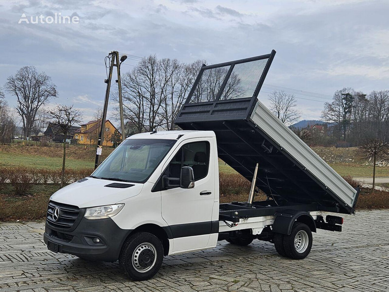 Mercedes-Benz Sprinter 419/519 CDI 3 way tipper - Tipper van: picture 1 Mercedes-Benz Sprinter 419/519 CDI 3 way tipper - Tipper van: picture 1