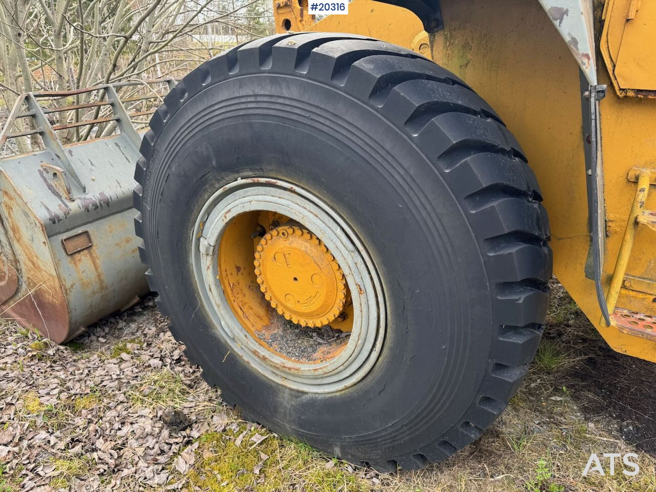 Wheel loader Hanomag 55 C: picture 13