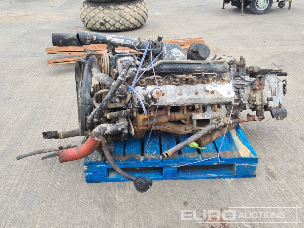 6 Cylinder Engine, Gearbox - Engine: picture 2 6 Cylinder Engine, Gearbox - Engine: picture 2