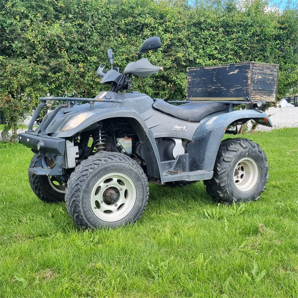 Side-by-side/ ATV Linhai 2x4 Shaft drive system: picture 1