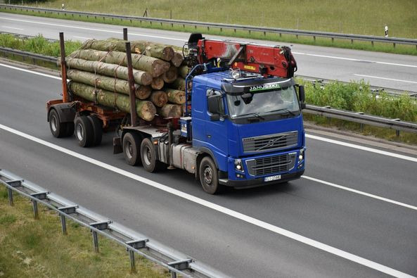 VOLVO FH16 700 6×4 - Timber truck: picture 2 VOLVO FH16 700 6×4 - Timber truck: picture 2