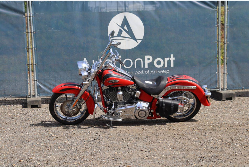 Harley-Davidson FLSTSE2 - Motorcycle: picture 1 Harley-Davidson FLSTSE2 - Motorcycle: picture 1
