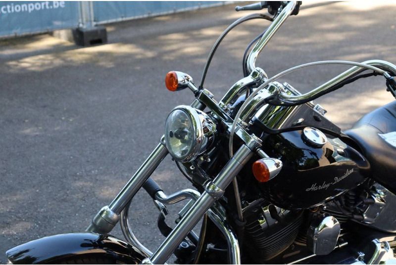 Motorcycle Harley-Davidson Softail Custom: picture 12 Motorcycle Harley-Davidson Softail Custom: picture 12