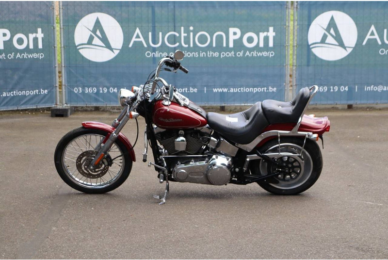 Harley-Davidson Softail Custom - Motorcycle: picture 2 Harley-Davidson Softail Custom - Motorcycle: picture 2