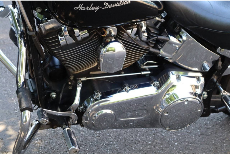 Motorcycle Harley-Davidson Softail Custom: picture 16 Motorcycle Harley-Davidson Softail Custom: picture 16