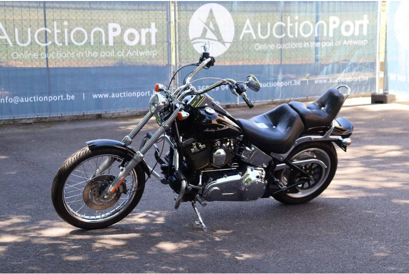 Motorcycle Harley-Davidson Softail Custom: picture 9 Motorcycle Harley-Davidson Softail Custom: picture 9