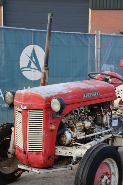 Farm tractor Massey Ferguson Ferguson Vintage Tractor: picture 9
