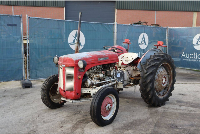 Farm tractor Massey Ferguson Ferguson Vintage Tractor: picture 8
