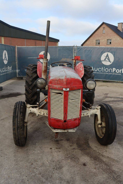 Farm tractor Massey Ferguson Ferguson Vintage Tractor: picture 7
