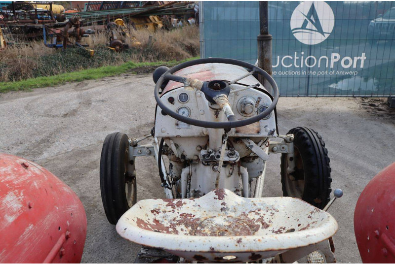 Farm tractor Massey Ferguson Ferguson Vintage Tractor: picture 19