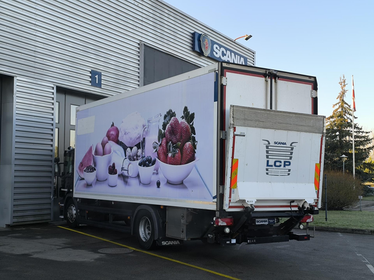 Cab chassis truck SCANIA P 250 DB4x2MLB: picture 10