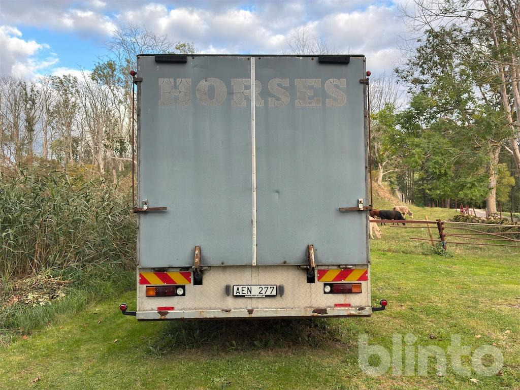 VOLVO FL614 - Horse truck: picture 4 VOLVO FL614 - Horse truck: picture 4